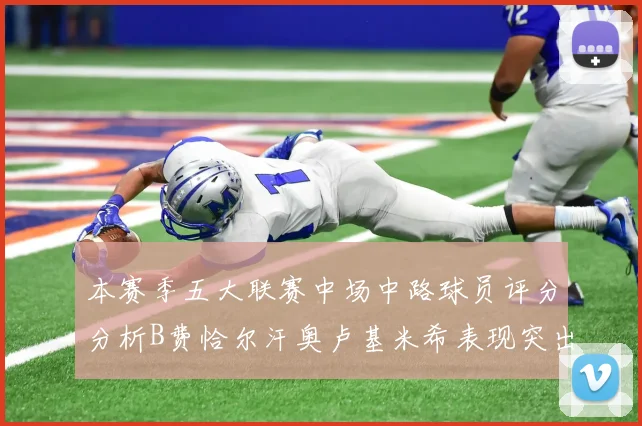本赛季五大联赛中场中路球员评分分析B费恰尔汗奥卢基米希表现突出