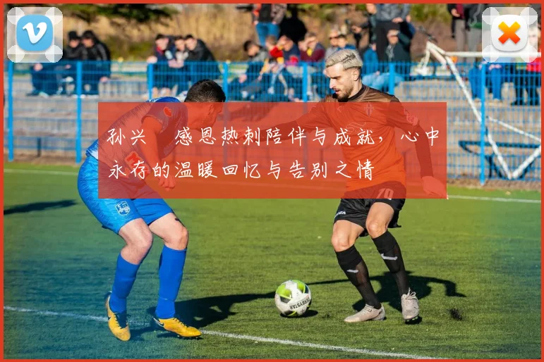 孙兴慜感恩热刺陪伴与成就，心中永存的温暖回忆与告别之情