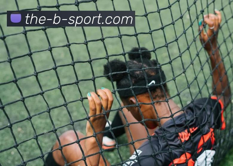 B体育平台生态图