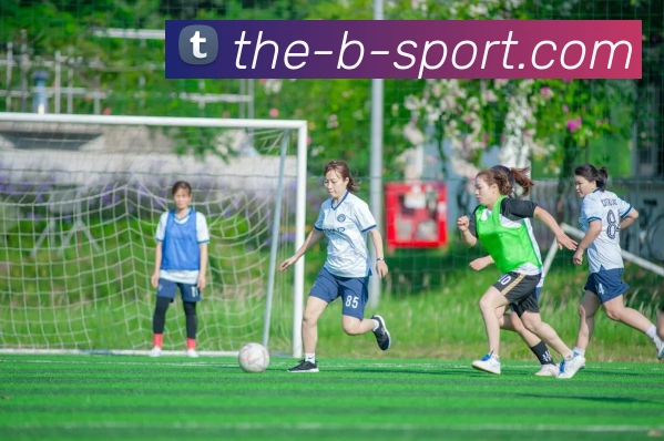 B体育APP 封面图